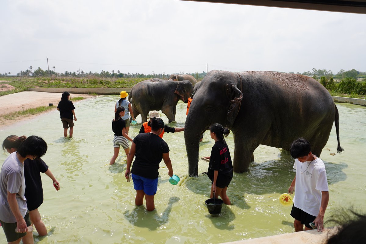 versoschool's tweet photo. Our UL learners spent a week in Chonburi exploring the ecotourism's impact on local ecosystems. Through activities, data collection, and interviews, they learned about sustainable practices and are now creating a website to promote responsible tourism.
#versoschool #versoUL https://t.co/0GeDEh3tTg