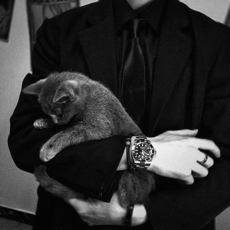 TTIMEE_T's tweet photo. meow~ 🤷🏻‍♂️ https://t.co/CspGyDtOt5