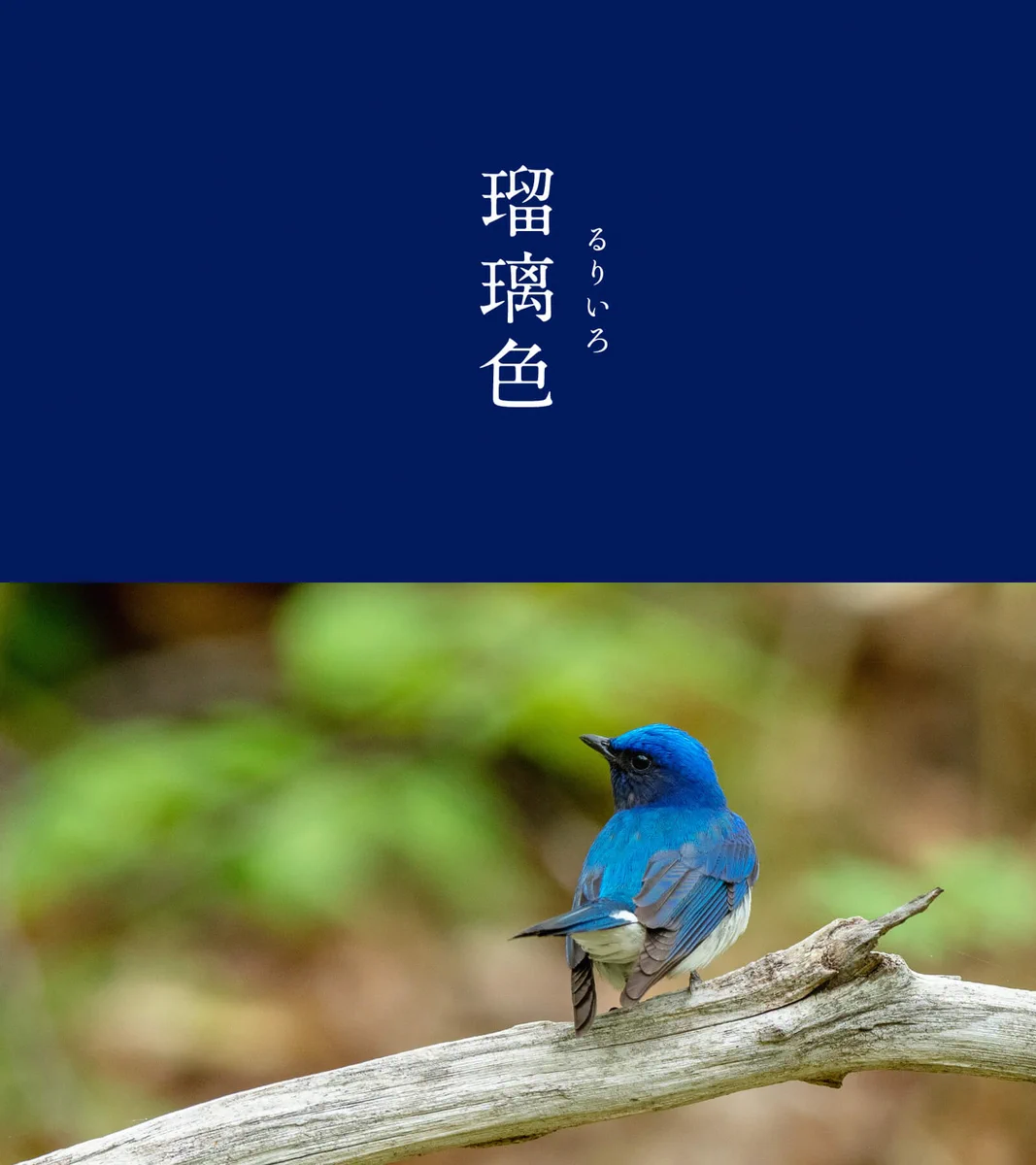 日本の色の表し方はやっぱり素敵だった！ラピスラズリを日本語名にしたら瑠璃色って知ってた？