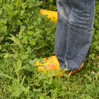 Zie je jezelf in de toekomst op een eigen biologisch of multifunctioneel bedrijf en kun je wel wat hulp gebruiken van een ervaren bedrijfsadviseur of -coach?  Start dan op 25 mei 19.30 uur met het online startersuurtje van #landgilde. Meld je aan 👇
bioacademy.nl/aanbod/online-…