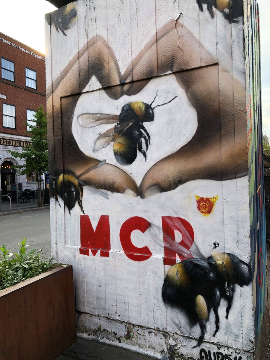 6 years ago already.

I will never ever forget the day after this happened. The City center was so eerily quiet and gloomy. The attack claimed 22 beautiful souls, but the shockwave rocked a city, a community.

And then we stood together.

#ManchesterRemembers #ManchesterBombing