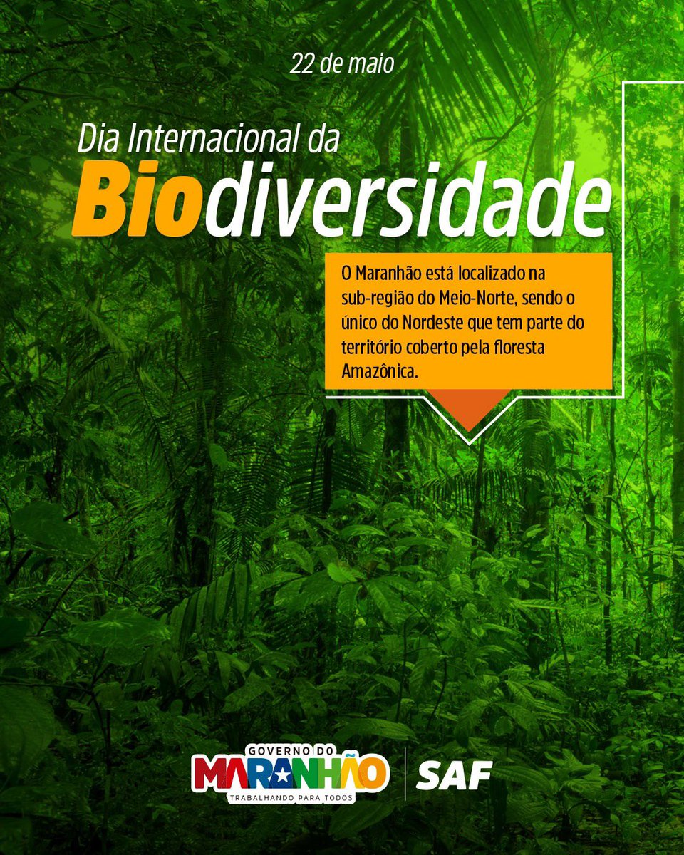 sistemasafma's tweet photo. 🌎🌱 #DiaInternacionalDaBiodiversidade

🌅O Maranhão possui diversos biomas em um único território. Uma rica biodiversidade de norte a sul e que precisa ser protegida e conservada por todos. 🫱🏻‍🫲🏽 

Conheça nossos biomas. 👉🏼

#agriculturafamiliar #safma https://t.co/8lbL25SLZp