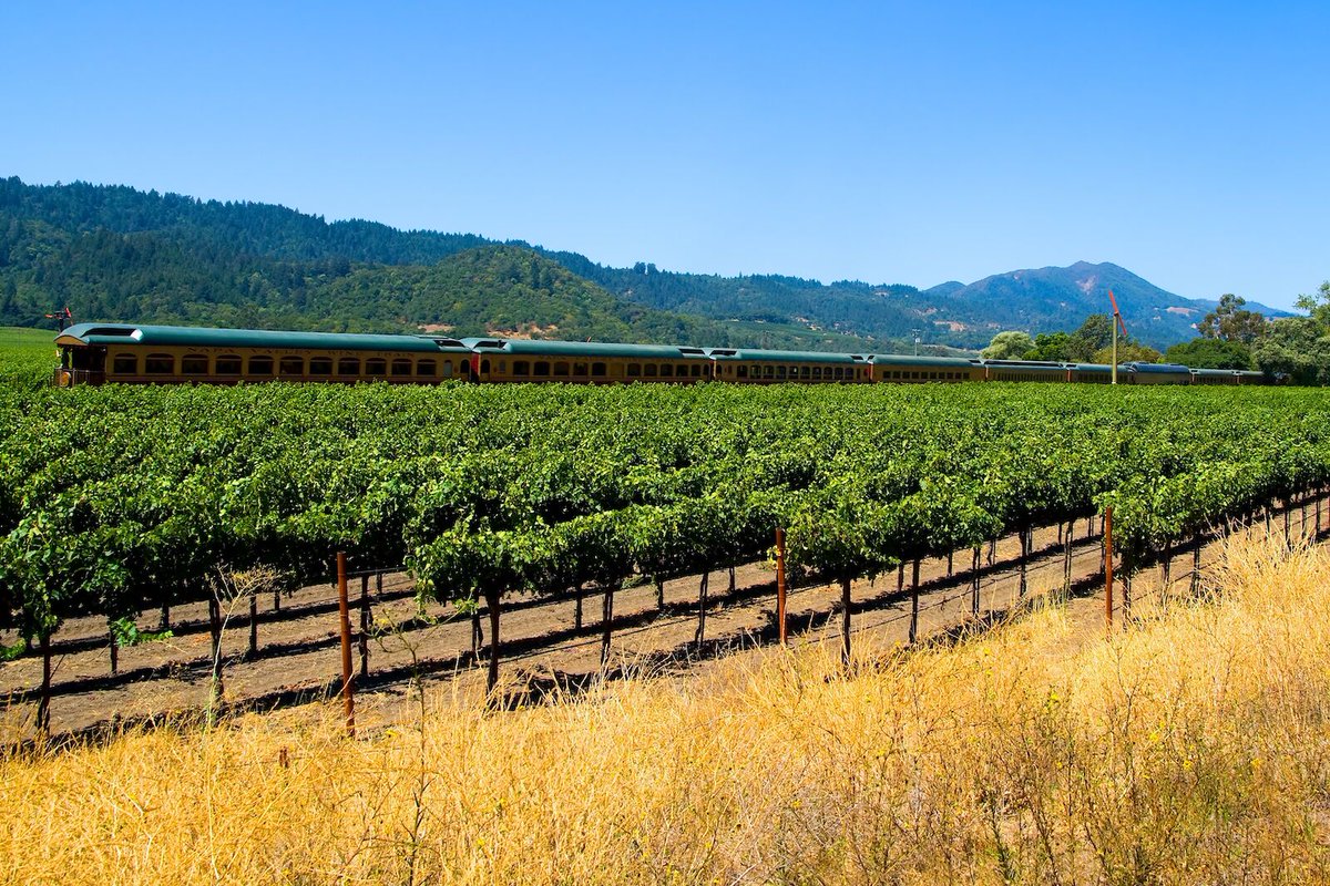 Tren: Ride Through California’s Most Celebrated Wine Region on This Vintage Luxury Train bit.ly/3Iz0TeZ #California #Train #LuxuryTrain #Wine #WineTourism #Wineries #NapaValley #Journey #Travel