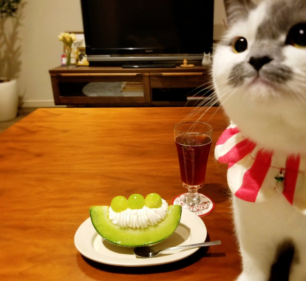 sakamoto_0905's tweet photo. 🍈 https://t.co/X1H0rBCLTX
