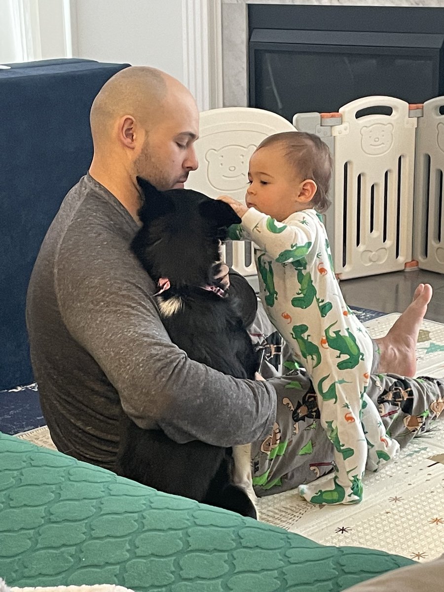 Matt Medeiros (@medeiros_matt) on Twitter photo 