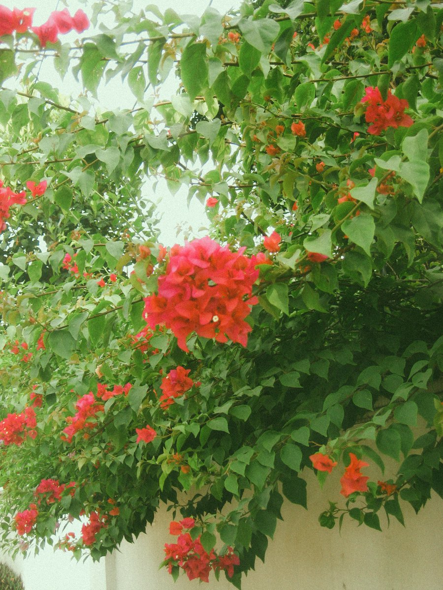 the3rdtone's tweet image. #7mp   
// shot 5

Feel free to retweet 🙂