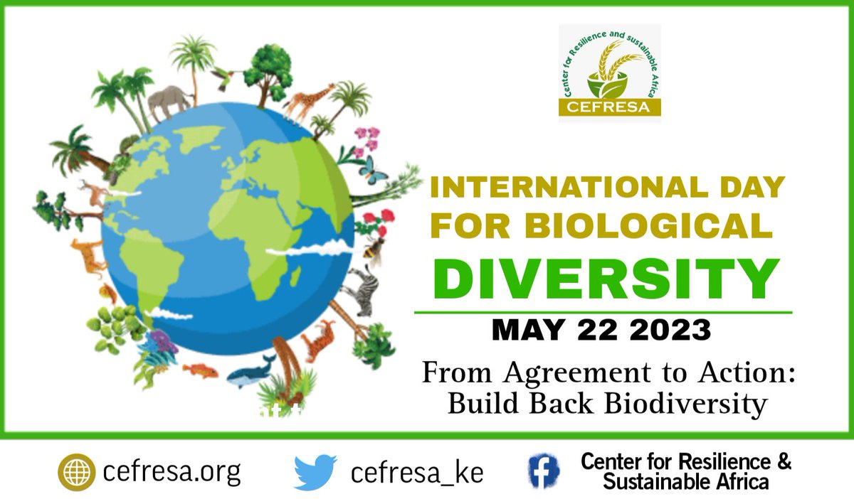 cefresa_ke's tweet photo. Biodiversity conservation ensures the protection of our plants, animals, microbial and genetic resources for food production, agriculture, and other ecosystem functions such as soil fertilization.

#LeadToSaveNature
#biodiversity #BiodiversityDay #biodiversityday2023  #ActNow https://t.co/4IUjbN9P52