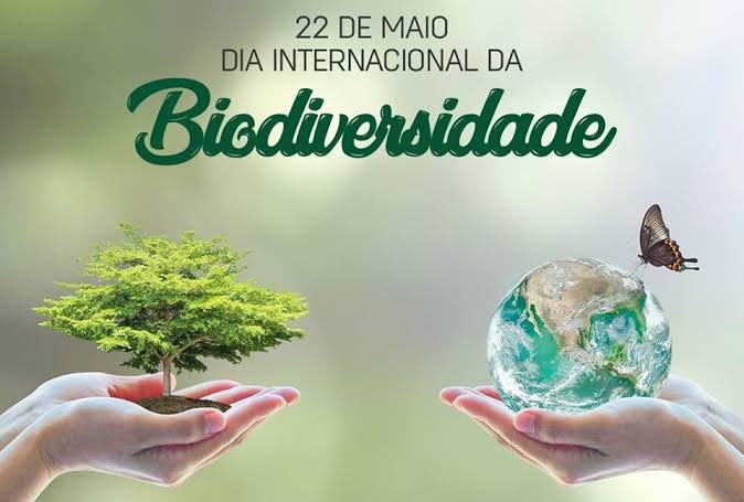 Cugnier_Global's tweet photo. No dia 22 de maio comemoramos o Dia Internacional da Biodiversidade. A data foi instituída pela Organização das Nações Unidas (ONU) para conscientizar as pessoas sobre a necessidade de se conservar e proteger a diversidade de vida no planeta.  
Os termos diversidade biológica… https://t.co/WYJjV7pAd6