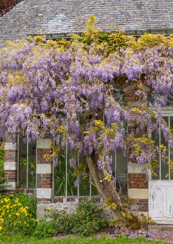 Escape to the Chateau tweet media