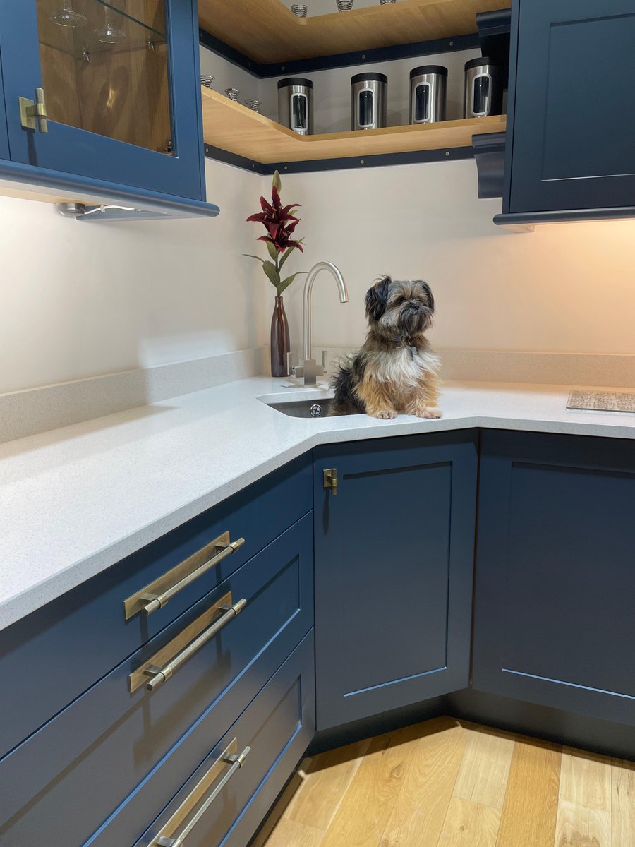UnitsOnline's tweet photo. Hunton shaker kitchen, with our new showroom assistant, Loki https://t.co/lCMsDNCqK7
