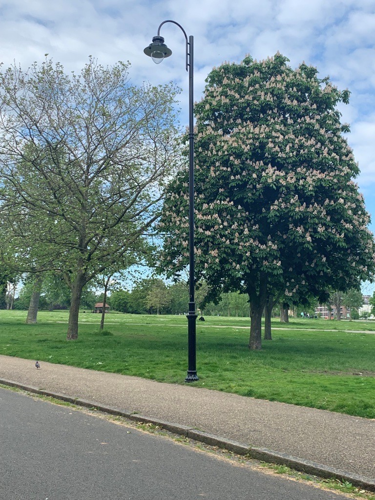 💡 Work is underway to install new permanent lighting in #FinsburyPark. The new lampposts and lanterns are looking great! 😍

Find out more about our work with partners to make Finsbury Park and the surrounding areas safer and more welcoming for everyone: haringey.gov.uk/love-finsbury-…