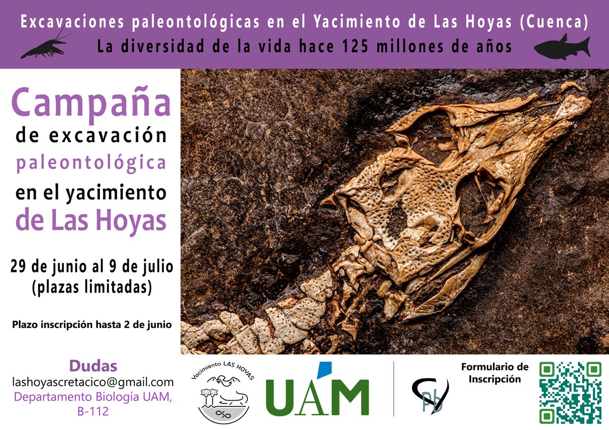 las_hoyas's tweet photo. 🚨 Nos vamos a excavar!!⛏️🦖

Abierto el plazo de inscripción para venirte con el equipo de @las_hoyas a la campaña de excavaciones de este verano

Ojo, hay plazas limitadas 👁️👄👁️ 

Toda la información en el formulario de inscripción 👇
https://t.co/LnMFsYV5j3 https://t.co/kKXwHxUQFw