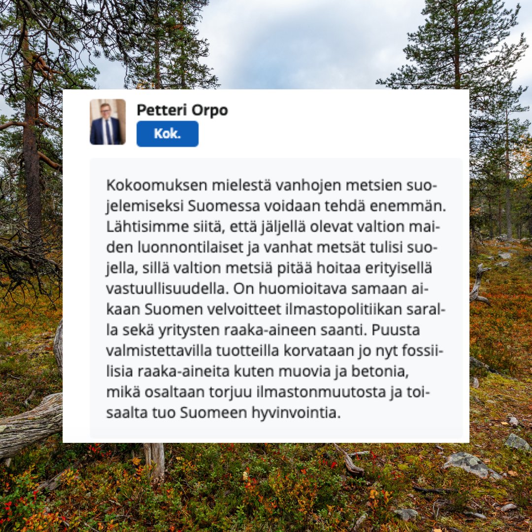 Hyvää luonnon monimuotoisuuden päivää, hallitusneuvottelijat! Nyt on aika ryhtyä sanoista tekoihin. <a href="/petteriorpo/">Petteri Orpo</a> ja <a href="/kokoomus/">Kokoomus</a> kannattivat ennen vaaleja valtion vanhojen metsien suojelua ja hakkuiden rajoittamista meidän kaikkien yhteisissä metsissä. #hallitusneuvottelut 1/2