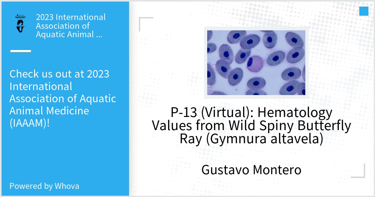 Feliz de presentar en el IAAAM en Utah un avance de la investigación que realizamos en el <a href="/IUSAeu/">IUSA_ULPGC www.iusa.eu</a> sobre hematología en mantelinas en Canarias - via #Whova event app
