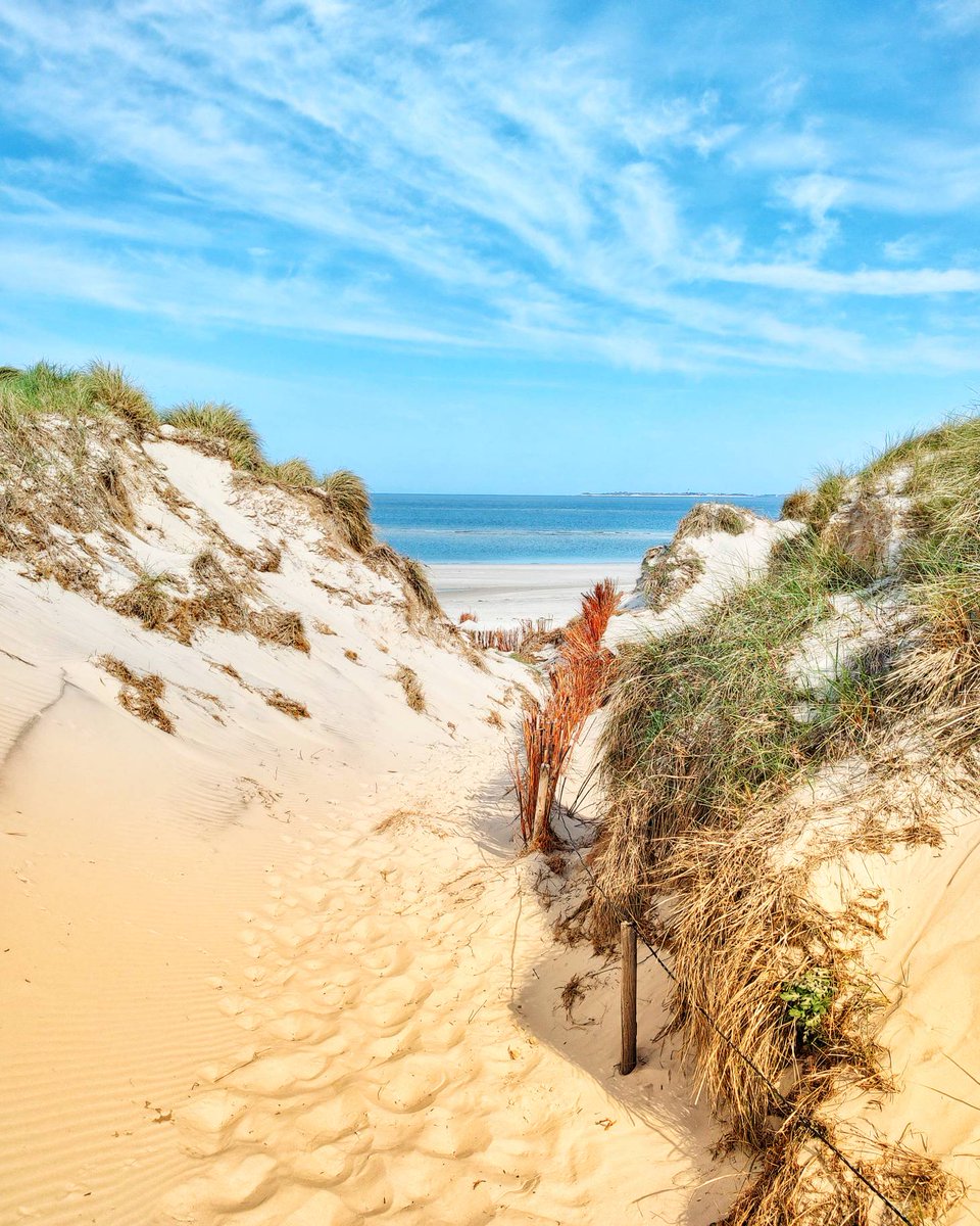 Auf dem Weg zur Odde durch die #Dünen auf #Amrum // #nordsee #light #clouds #peace #reiselust #travel #outdoor #nature #travelgram #landscape #landscapephotography #reiselust  #borntotravel  #welltraveled #holiday #mood #sky #view #nexttrip #sunset #ig #hdr #stunning
