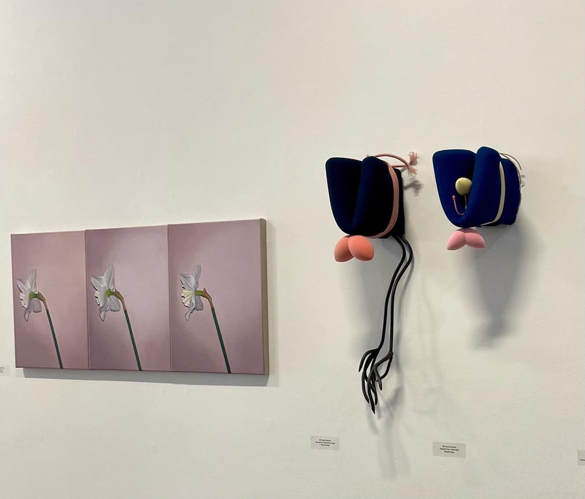 Thank you Royal Hibernian Academy of Arts @RHAGallery 🙏🏻 

So lovely to see my sculptural works Chasing The Black Bird Indigo & Disquiet Faux Royal Blue in such good company

#VarnishingDay 
#ArtsCouncilSupported #ArtsIreland 
@artscouncil_ie #contemporarysculpture #susanbuttner