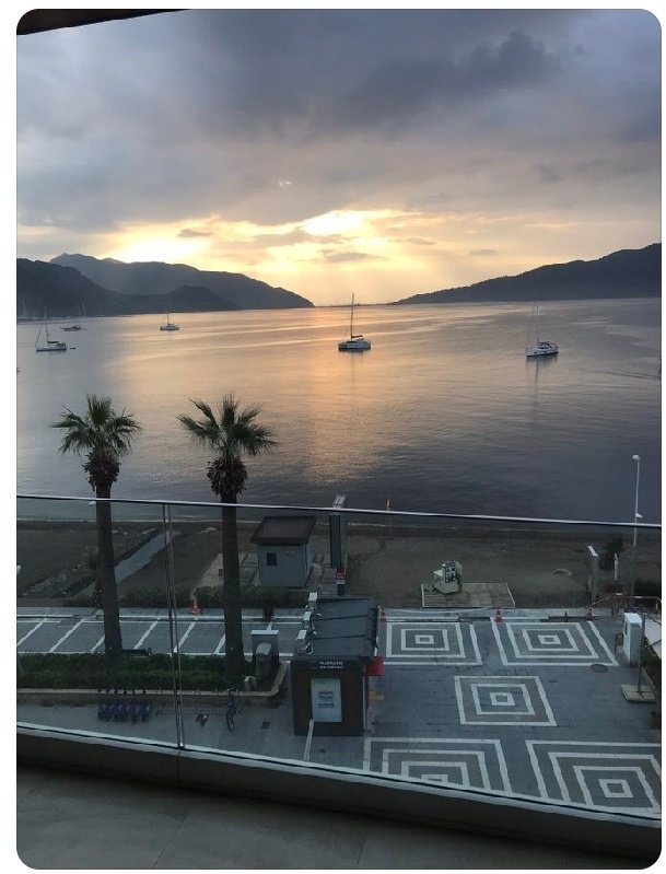 Günü aydın yapan
güneşin doğuşu değil, 
Yüreğin umutlara uyanışıdır.."🌞🦋🐈
#günaydın