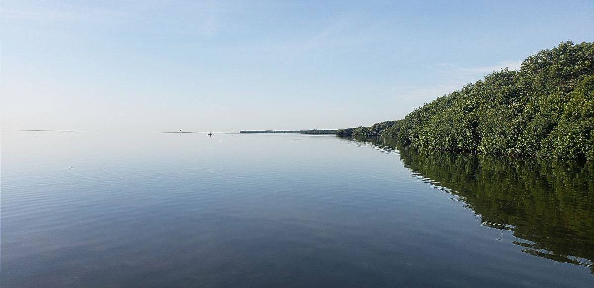 Artificial Mindfulness-AM, AI can be a great tool in promoting mindfulness. But it should be used as an aid, not as a substitute for personal effort and practice mailchi.mp/836eb0df343c/a…

#mindfulness #mondaythoughts #inspiration #AI #artificialintelligence #OPENAI #meditation