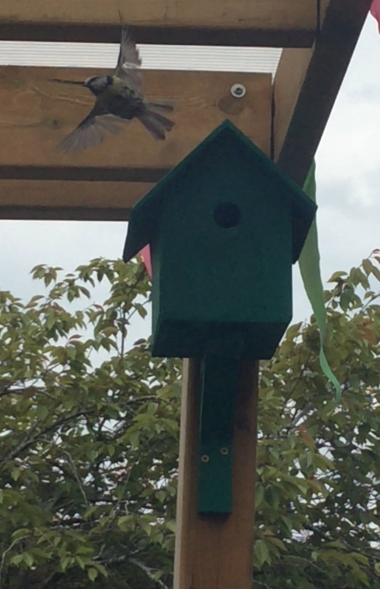 We have had some really exciting news in Cubs. A new resident has arrived in the #birdhouse. The children get really excited when they see it come and go and they wanted to name the #bluetit Pete. We have also made some bird feeders to make him feel welcome.