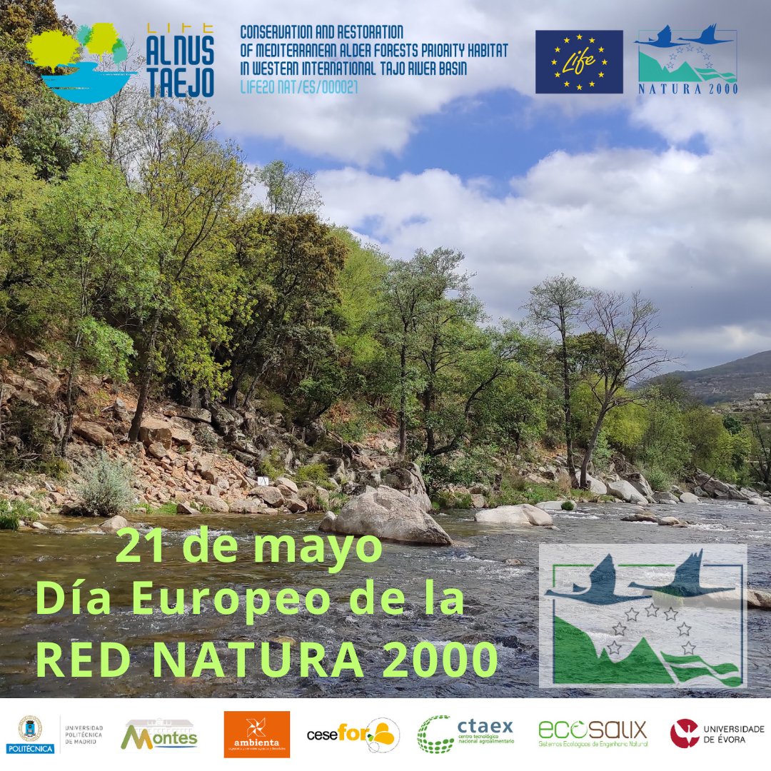 LifeAlnusTaejo's tweet photo. 21 mayo ➡️Día Europeo🇪🇺 de la #RedNatura2000
22 mayo➡️Día Internacional🌍 de la #BiodiversidadBiologica

RED NATURA 2000 🎯 ASEGURA ➡️LA BIODIVERSIDAD BIOLÓGICA✅

@MontesUPM @ambientaing @CTAEX_CIT
@FCesefor #ECOSALIX #UEvora
@LIFEprogramme @cinea_eu @EU_Commission https://t.co/wXT94FKckx