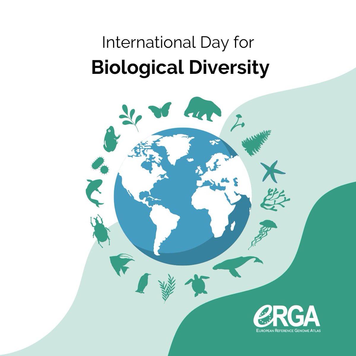 Today we celebrate the international day for biological diversity!🌍 An opportunity to reflect on the importance of understanding and conserving #biodiversity at all levels: from #genes to whole #ecosystems. @BioGenEurope @EBPgenome #BuildBackBiodiversity #BiodiversityDay