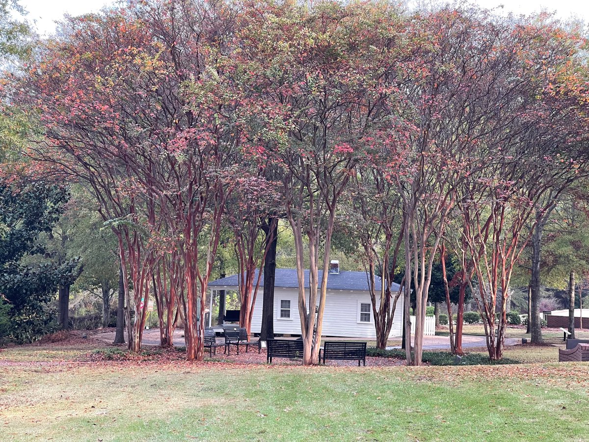 Come see us at the Birthplace.