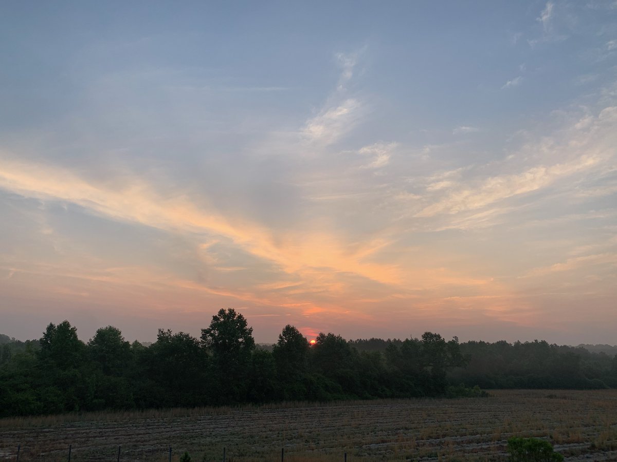 Brthers_Kpr_USA's tweet photo. Good Morning America ☕🥓🌞🇺🇸

🧡 #TeamWYATT 🧡 #GoneButNEVERForgoten

❤️ #SecureOurSchools ❤️

 #USA #Beef #Bacon #SecondDefendsAllOthers #ConcealedCarry #FirearmsInstructor #FirearmsSafety  #SampsonCountySunrise  #LetsStartAmericaningBetter #Freedom

#BrothersKeeperUSA 🇺🇲 https://t.co/IfRtS0WnfB