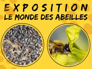 RennesUniv's tweet photo. ║ Sciences et société ║
#Climatoscopie : biodiversité et #Climat
🗓️ Me 24 mai de 18h30 à 19h30 à Rennes
Avec Thomas Houet, géographe @UMR_LETG
et Manuel Plantegenest, agro-écologue à @IGEPP
#BiodiversityDay
🎟️Rencontre gratuite sur inscription : https://t.co/NYtCl8VfRg https://t.co/nRsSXEt06R