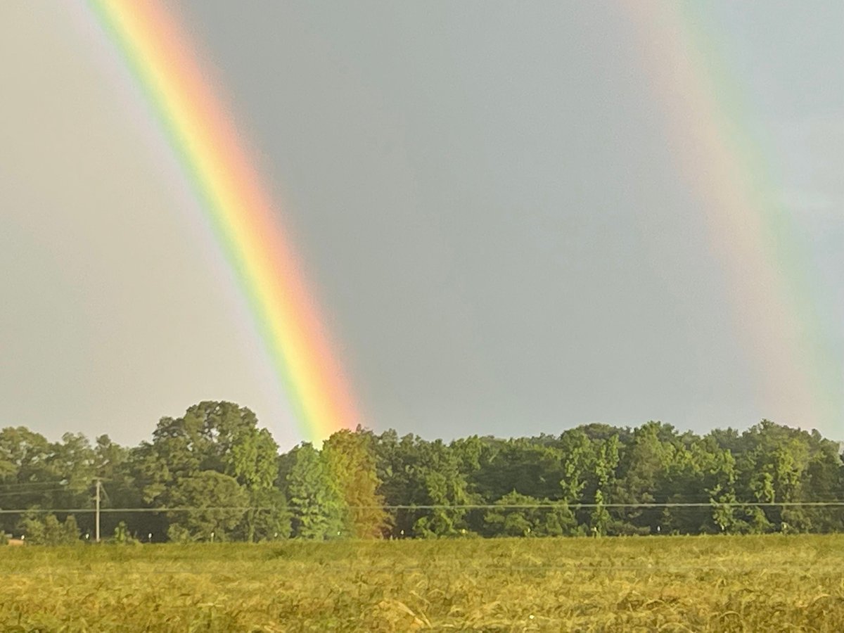 Taylor Sarallo on Twitter "Lorri Jordan sent us these photos of a