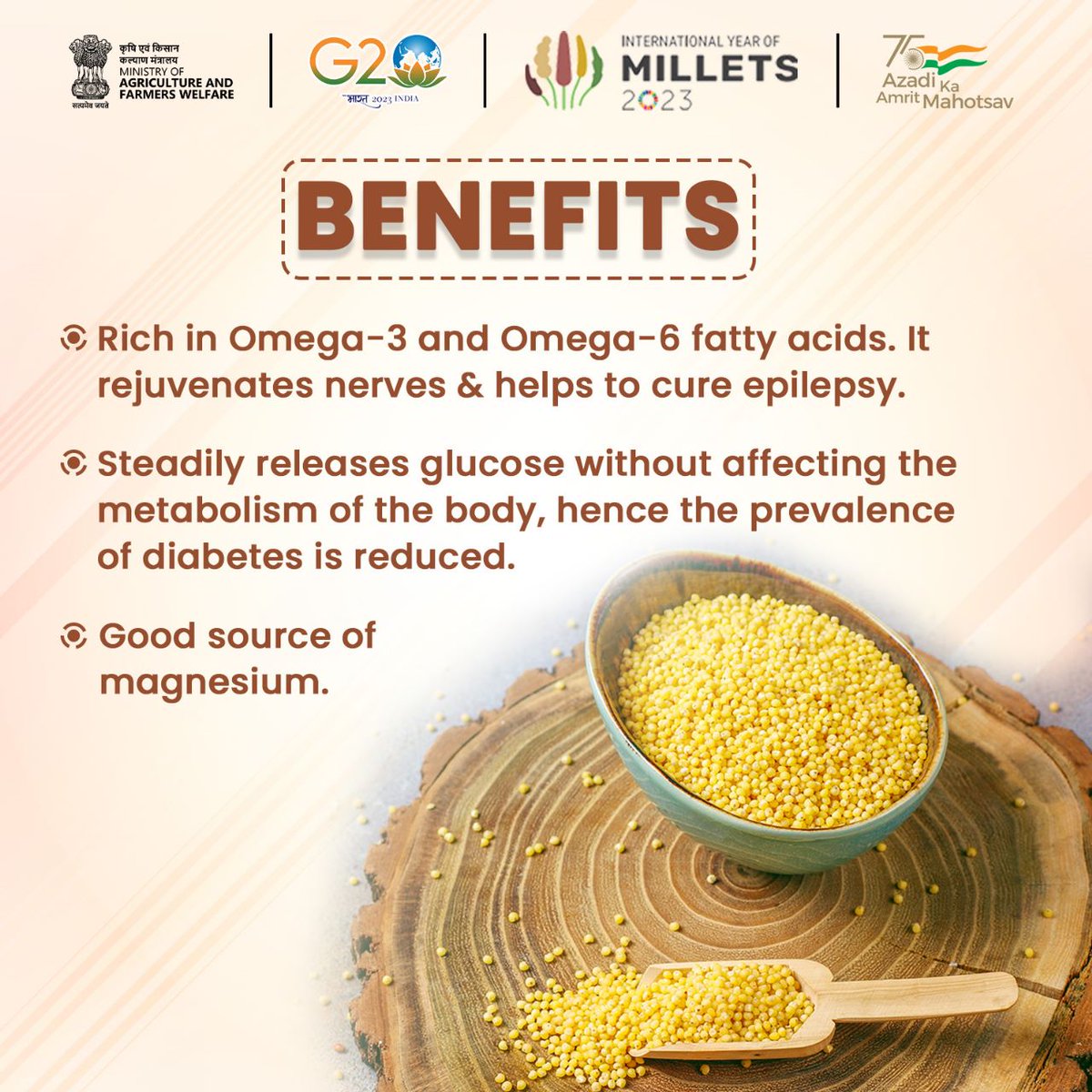 International Year Of Millets 2023 on Twitter "Foxtail millets are