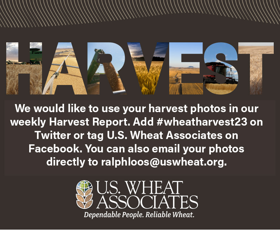 US Wheat Associates on Twitter "Our weekly Harvest Report launched for