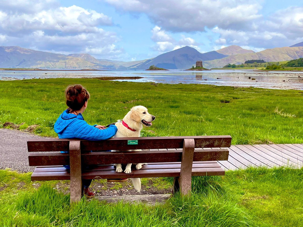 Robin Smith tweet media