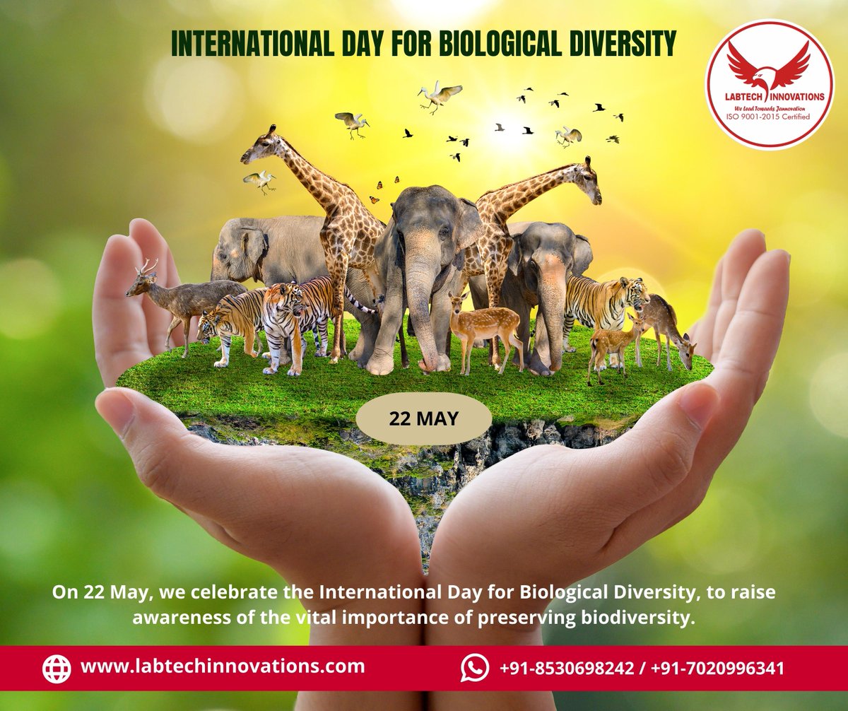 International Day for Biological Diversity #natureconservation #protectbiodiversity #BiodiversityDay #sustainablefuture #ecosystem #biodiversity #saveourspecies #lovefornature #conservationefforts #ecofriendlyliving #wildlifepreservation #BiologicalDiversity #internationalday