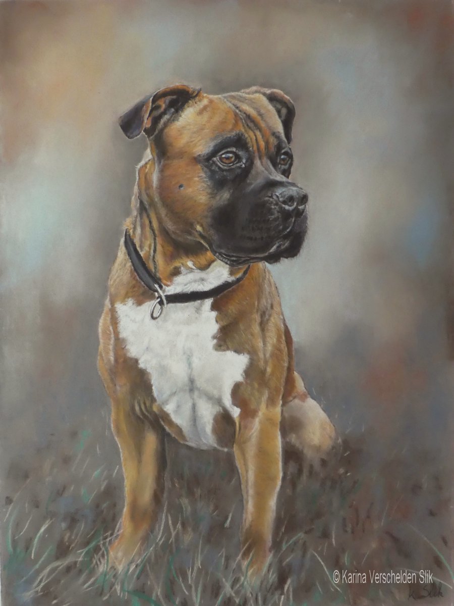 Skip. Commission piece from a few years ago. Pastelpencils and crayons. #dogs #petportrait #dogdrawing #animaldrawing #artlovers #fineart #pasteldrawing #realisticart #animalart #dogart #pets #stafford