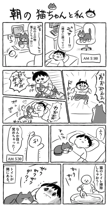今朝の猫ちゃんの話