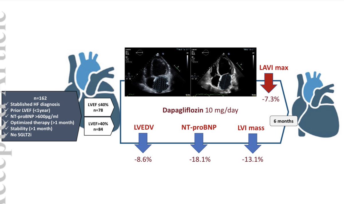 Impact of %Dapagliflozin on cardiac remodeling in patients with chronic #HeartFailure: #DAPA-MODA study

Just published in <a href="/ESC_Journals/">European Society of Cardiology Journals</a> #HFA_ESC 
onlinelibrary.wiley.com/doi/abs/10.100…

#HeartFailure2023 <a href="/HFA_President/">HFAPresident</a> <a href="/WilfriedMullens/">Wilfried Mullens</a> <a href="/SotiriaLiori/">Sotiria Liori</a> <a href="/JamalRanaMD/">Jamal Rana, MD</a> <a href="/AndrewJSauer/">Andrew J Sauer MD</a> <a href="/gcfmd/">Gregg Fonarow MD</a>