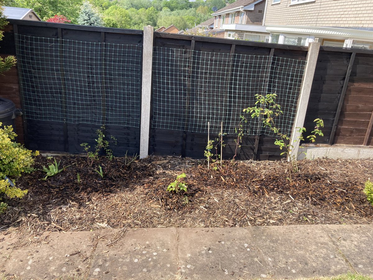 After2crazy weeks when progress on greenhouse project has been impossible we popped up country for the weekend to visit godson &amp;help him start his new garden (see pics) visit old friends&amp; briefly drop in on <a href="/BambooNigra/">Adrienne</a> &amp; <a href="/Gavin_Wade_/">Gavin_Wade_</a> &amp;their inspiring garden.Back to work now!