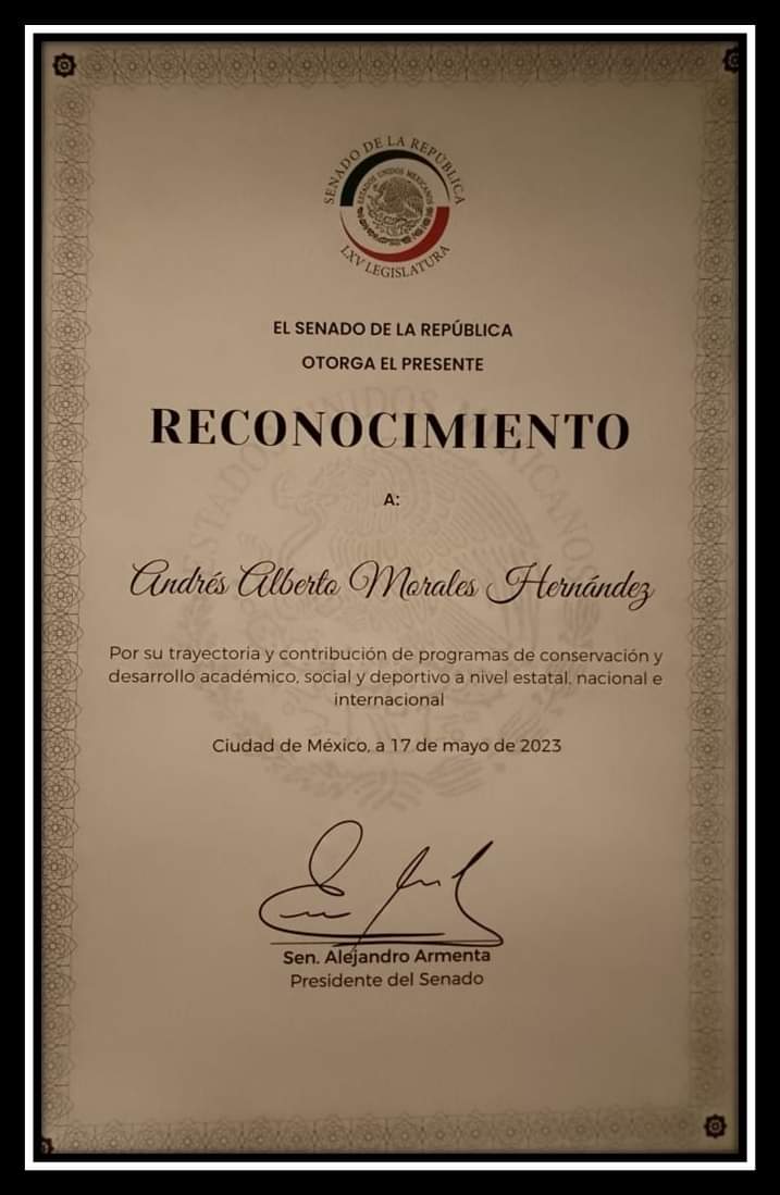 ABO - BALONCESTO tweet media