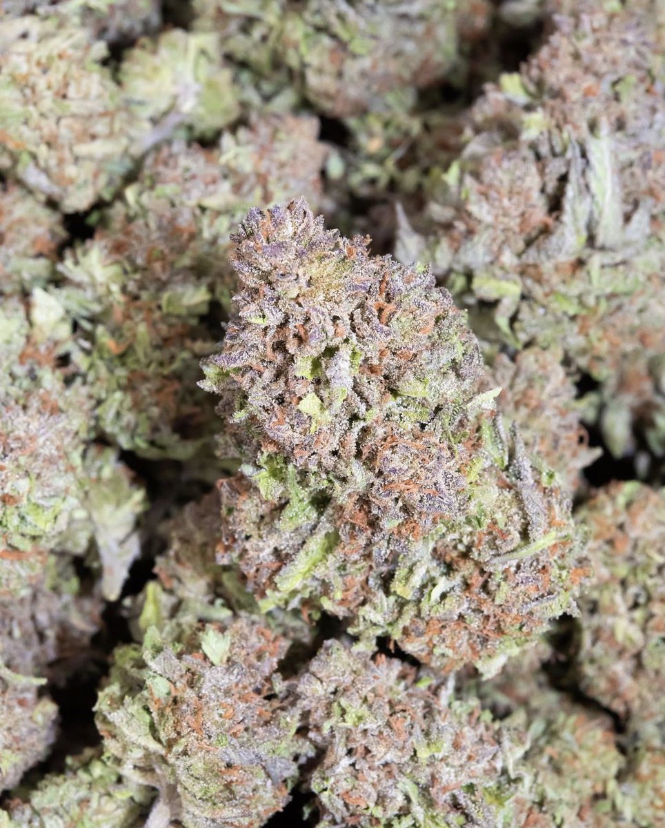 willis__sara's tweet image. When it comes to politics,cannabis use allows me to expand my consciousness and think beyond the traditional right/left paradigm. Maybe it’s why i hold such strong beliefs about #voluntaryism and the #nonaggressionprinciple raising Monday? #420community #420friendly #420Life