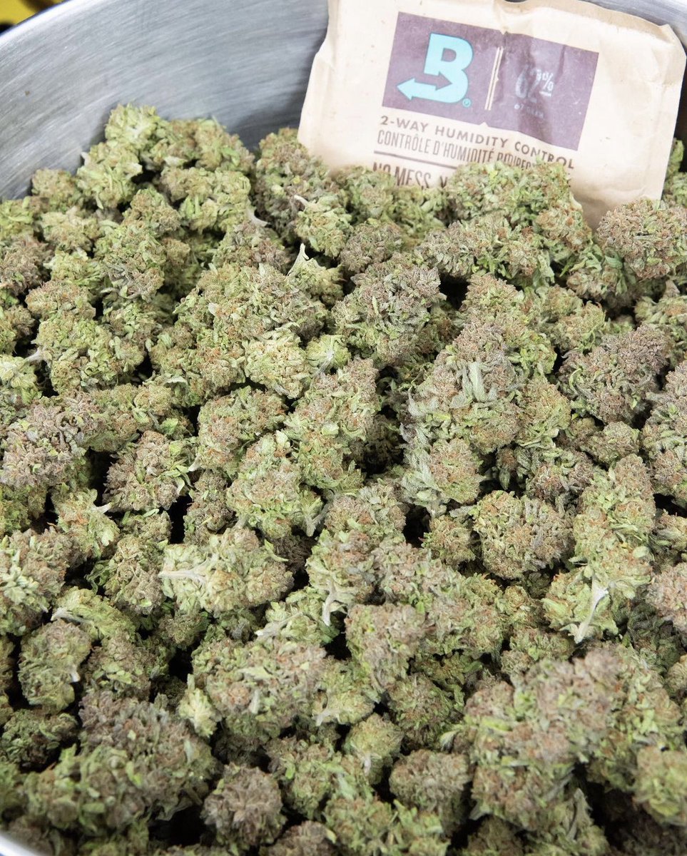 willis__sara's tweet image. When it comes to politics,cannabis use allows me to expand my consciousness and think beyond the traditional right/left paradigm. Maybe it’s why i hold such strong beliefs about #voluntaryism and the #nonaggressionprinciple raising Monday? #420community #420friendly #420Life