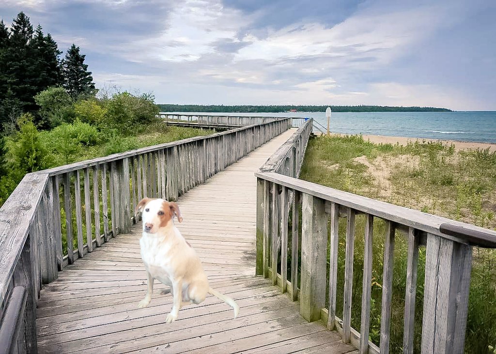 Penny's 🇨🇦 fun fact: #ManitoulinIsland, in Northern Ontario, is the 🌎's  largest freshwater island 🌊

It's also home to the largest lake within an island within a lake AND the largest island within a lake, within an island within a lake in the world! 

Say that 5 times fast 🤣