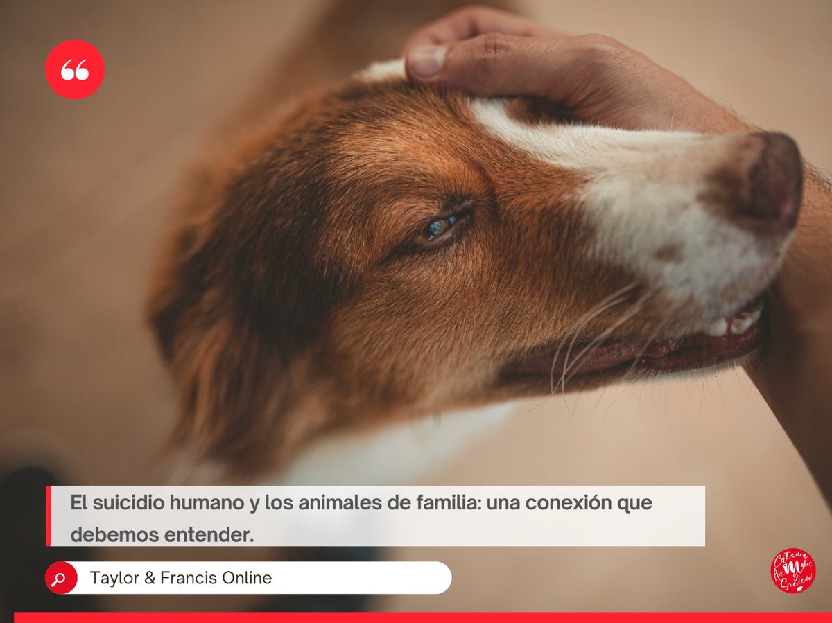 CATanisoci's tweet photo. El #suicidio humano y los #AnimalesDeFamilia: una conexión que debemos entender. 

Nuestra preocupación por el suicidio nos lleva a explorar cómo los animales, además ayudar a prevenirlo pueden ser también un factor de riesgo y convertirse en co-víctimas en muchas ocasiones. https://t.co/NNtMdFJq2k