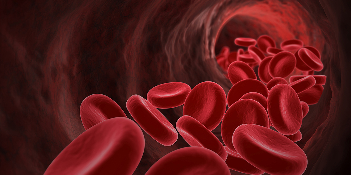 Soc Esp Cardiología tweet media