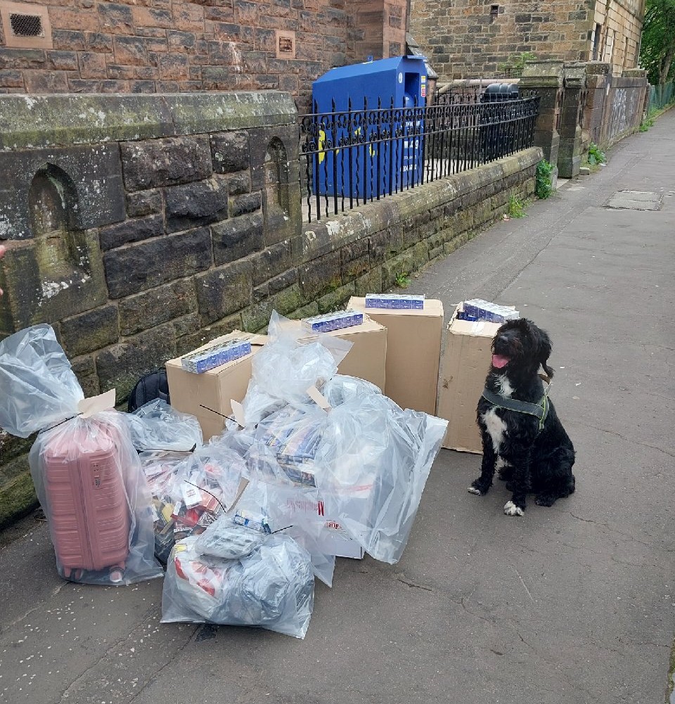 Local officers from the Gorbals assisted @GlasgowCC Trading Standards on a joint operation in Govanhill on Thurs 18 May 2023. The team were supported by a specialist search dog and recovered in excess of 50,000 illegal cigarettes and tobacco.

@socotss
#GGPartnerships