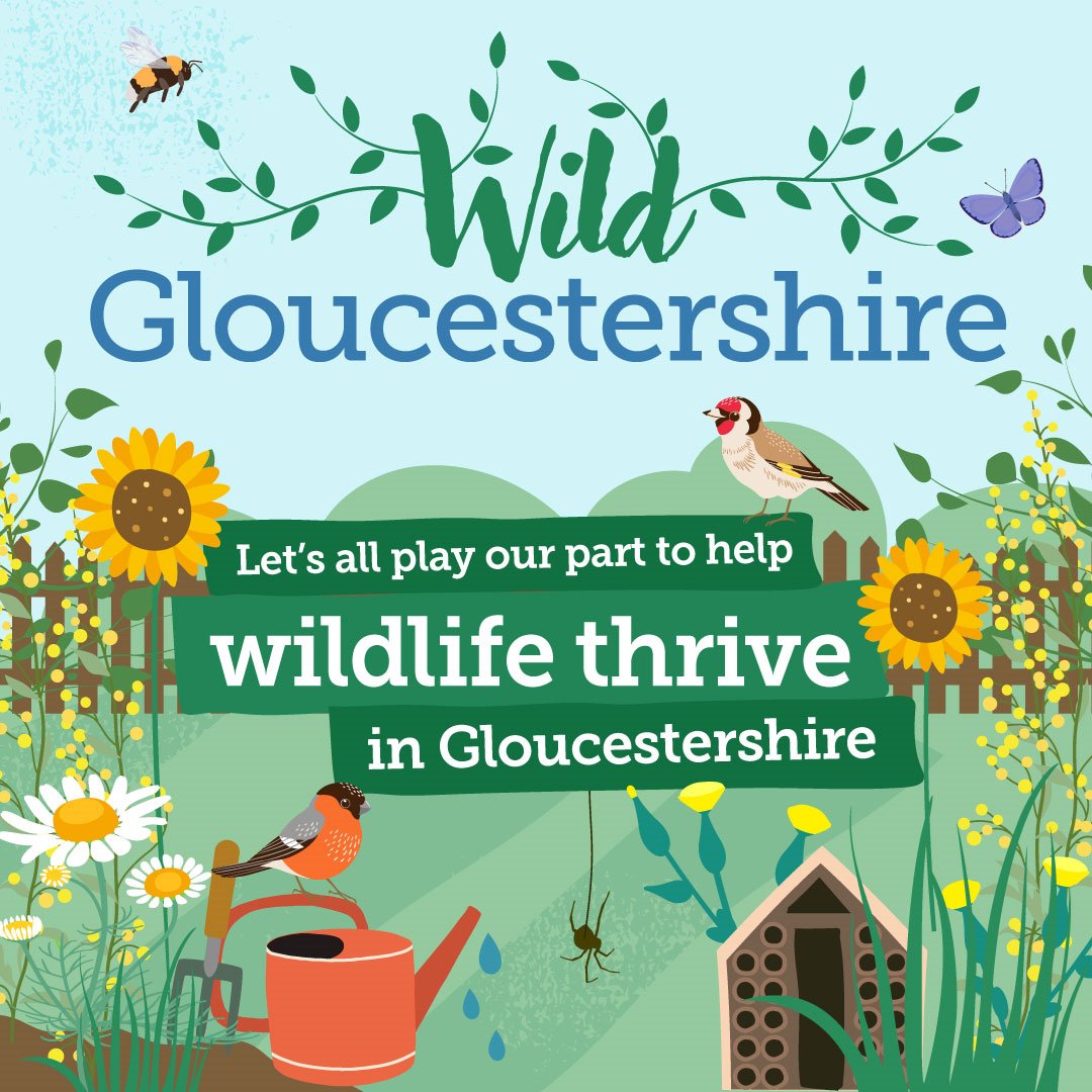 We are excited to announce the launch of our Wild Gloucestershire campaign, to promote local biodiversity and encourage residents to make their gardens more wildlife-friendly. Read more here: orlo.uk/wild_glos_3FCvJ #GreenerGloucestershire