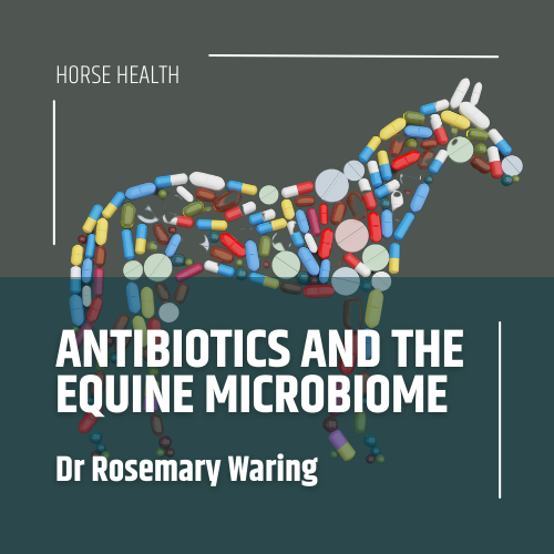 TharosEquine's tweet photo. https://t.co/Cl0Uc5thbj A review of the scientific literature, looking at antibiotics and their impact on the gut microbiome. https://t.co/ovD4FqKTQk