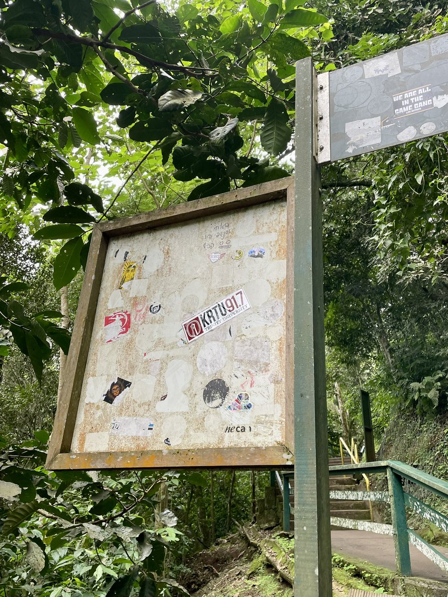 Random <a href="/KRTU917FM/">KRTU 91.7 FM</a> sticker in the jungles Brazil