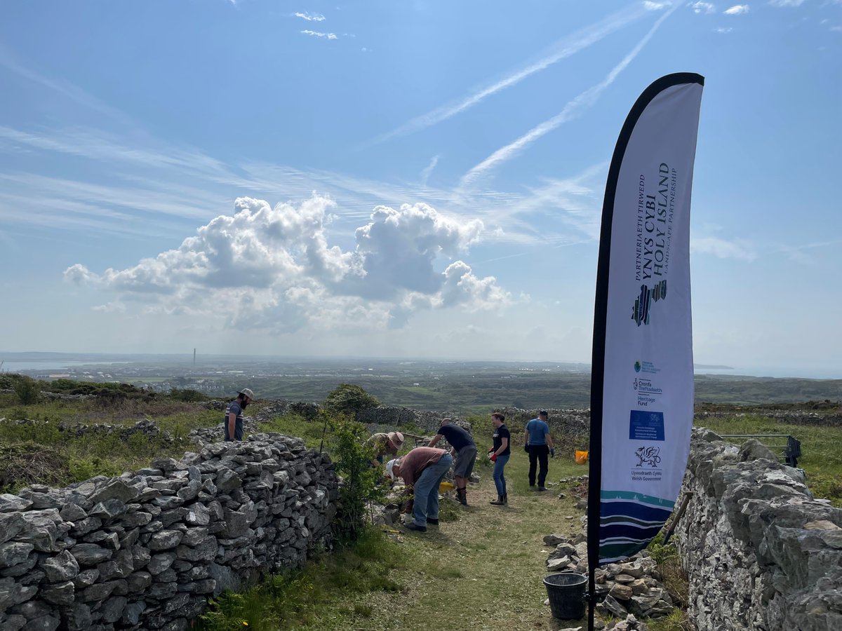 A huge thank you to our wonderful volunteers for their work on repairing the Quillet stone walls on Mynydd Twr; helping to preserve our unique heritage landscape for years to come. @angleseycouncil @HeritageFundUK @TownHolyhead @HHMaritime @RSPBSouthStack @GwyneddArch