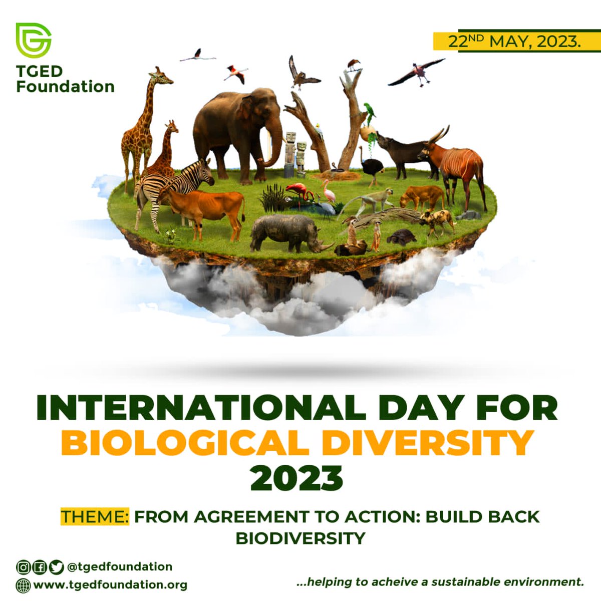 #InternationalDayForBiologicalDiversity, #IDBD  #BiologicalDiversity. #BiodiversityDay, #22May, #biodiversity #BuildBackBiodiversity, #AgreementToAction, #KMGBF, #HarmonyWithNature,