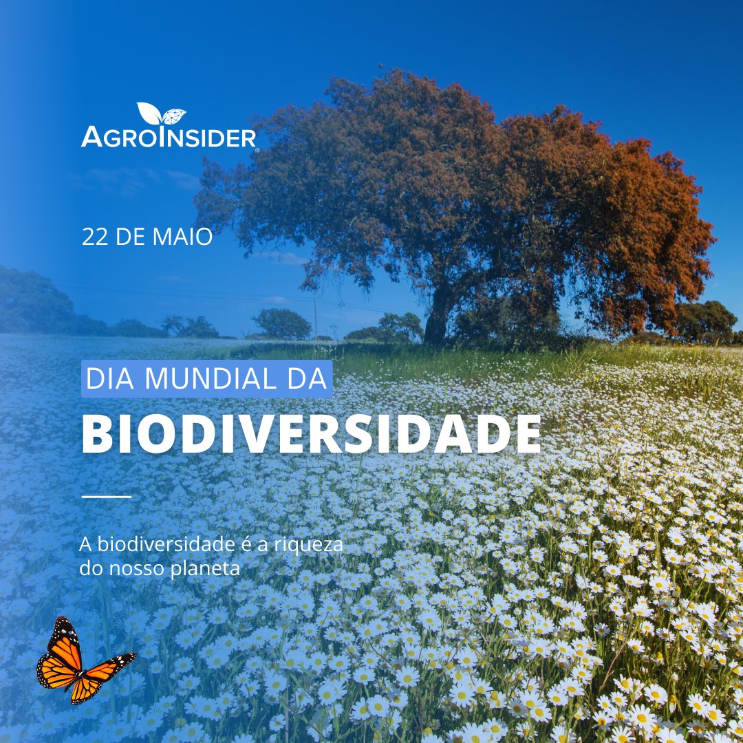 AgroInsider's tweet photo. Today is World Biodiversity Day! 🌳🌺🦋

Let's protect and preserve biodiversity! 💚

#agroinsider #diamundialdabiodiversidade #ecossistemas #sustentabilidade #worldbiodiversityday #ecosystems #sustainability https://t.co/xIbMpWpUXE